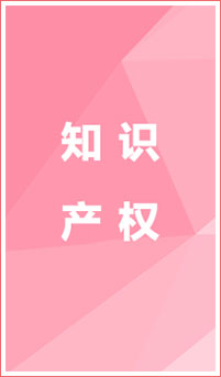 知識(shí)產(chǎn)權(quán)